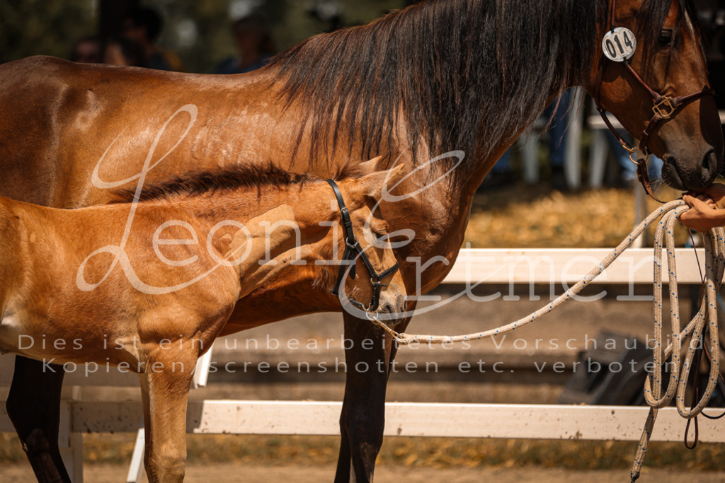 03.DoAB00065 | Leoni Ertmer Photography - Realisiert mit Pictrs.com