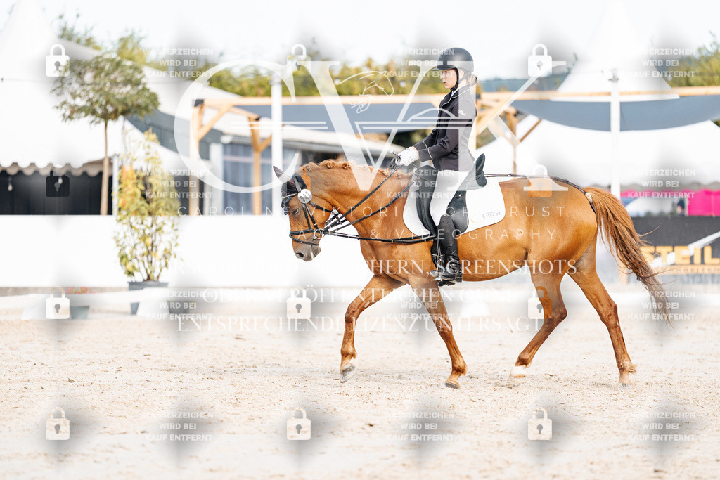 CK904591 | Turnierfotografie Pferdefotografie Trier Rheinland-Pfalz Pferdesport Reitsport Tierfotografie Sportfotografie Pferdevideo Pferdevideografie Equestrianvideography equestrianphotography  - Realisiert mit Pictrs.com