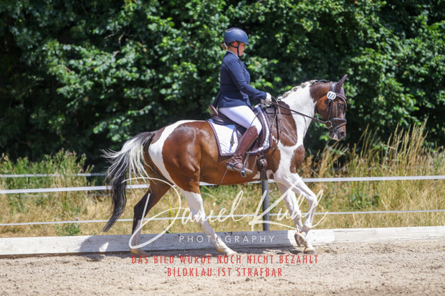 DKP46387 | Turniersportfotografie; Pferdefotografie; Dressurfotografie