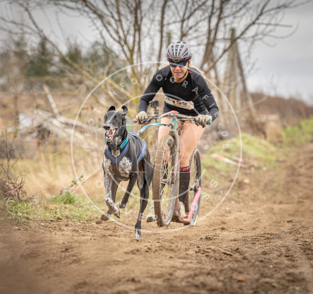 DV3A1721 | Hundefotografie, Tierfotograf, Pfotenfotografie, Fotoshooting Hund, Hunde Portrait, Hundesport, Hundeportraits, Heideshooting, Hunde, Sportfotograf, Hundefotograf, Turnierhundsport, THS,  - Realisiert mit Pictrs.com