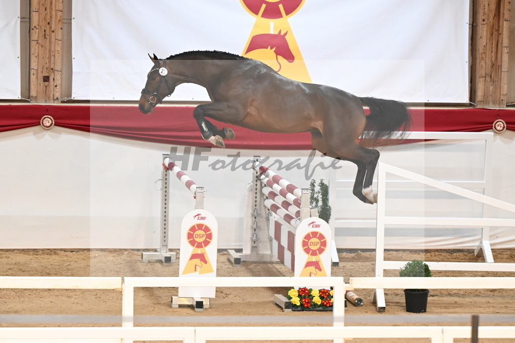 Kat.-Nr. 24 v. Jasper_Zeil_3261766 | hf-fotografie - Realisiert mit Pictrs.com