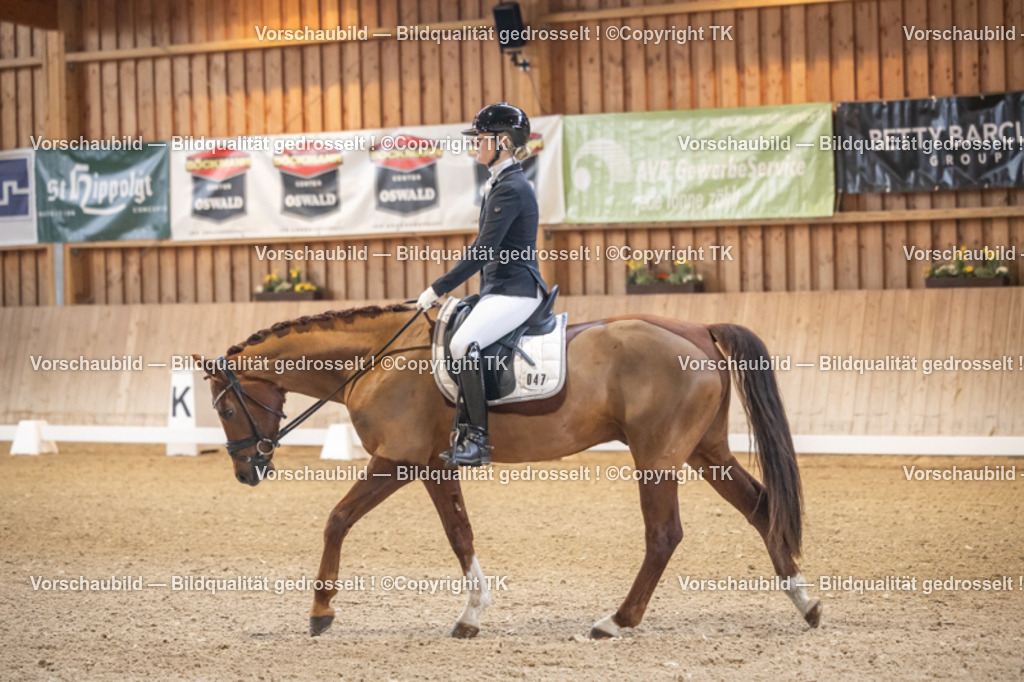 _D5A5470 | Emotionale Pferde- & People-Fotografie rund um Heidelberg, Leimen & Umgebung. Natürliche Fotos von Pferd, Mensch & Familie. Jetzt Termin sichern!