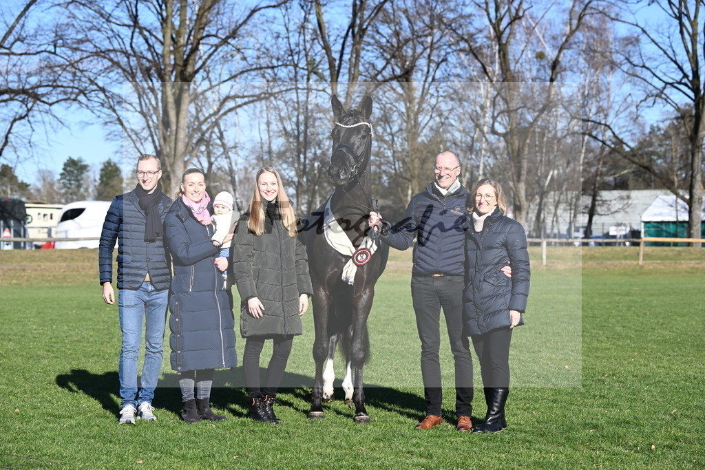 Kat.-Nr. 65 v. Springbank II VH_Reichert_2243448 | hf-fotografie - Realisiert mit Pictrs.com