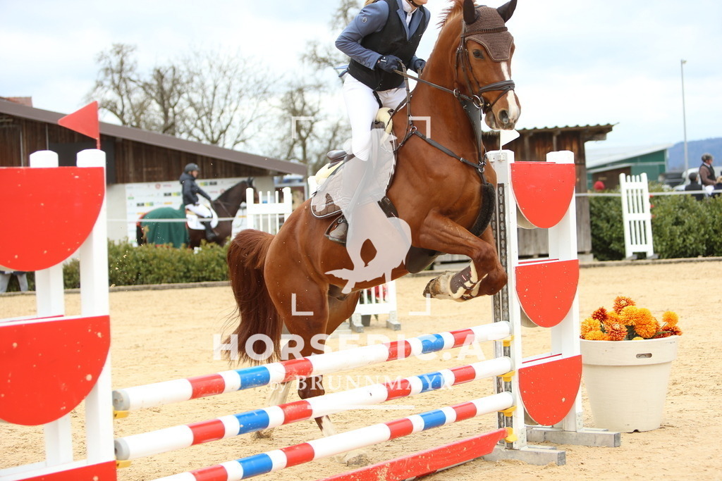 DL2Q1868 | Willkommen bei Brunnmayr - Design & Fotografie – Ihrem Spezialisten für Reitturniere und Pferdeveranstaltungen in Oberösterreich, Salzburg und Bayern! Seit über 17 Jahren sind wir leidenschaftlich dabei.