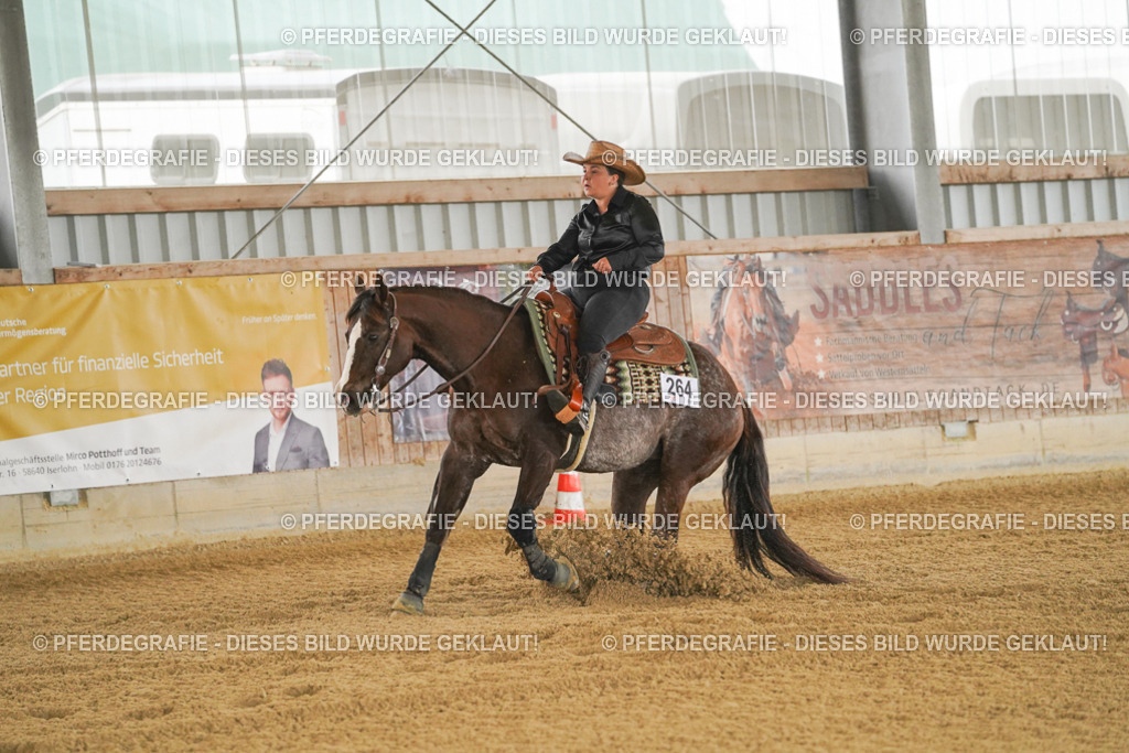 DSC07466 | Pferdegrafie