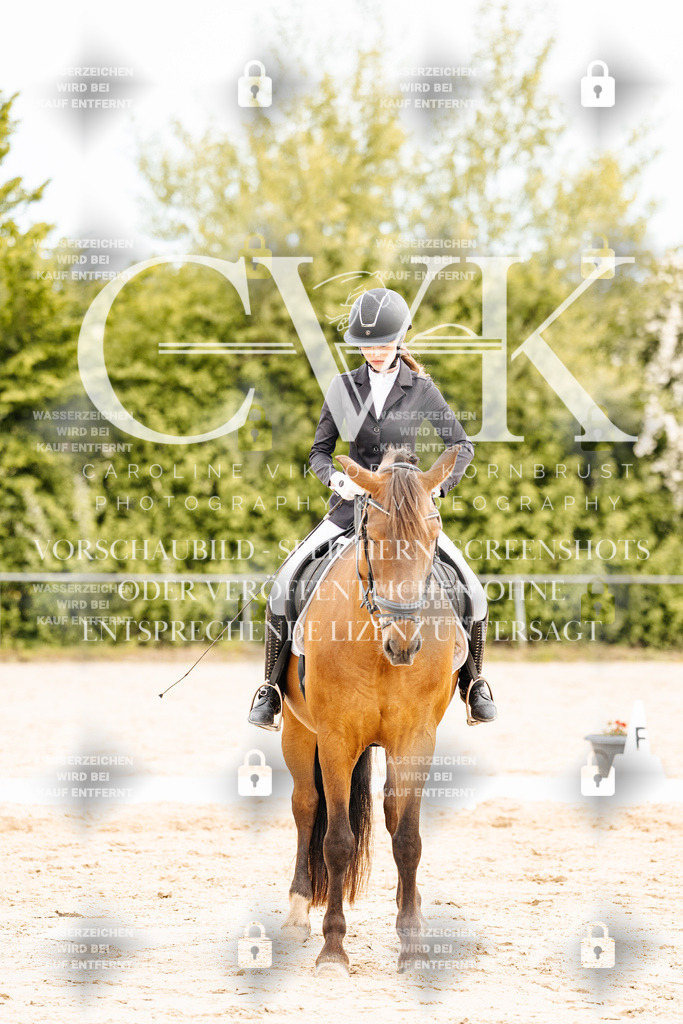 CK904834 | Turnierfotografie Pferdefotografie Trier Rheinland-Pfalz Pferdesport Reitsport Tierfotografie Sportfotografie Pferdevideo Pferdevideografie Equestrianvideography equestrianphotography  - Realisiert mit Pictrs.com