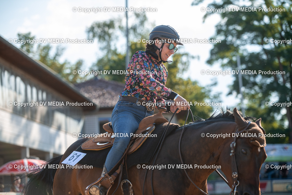 ZS2_8969 | dv-media-shop - Realisiert mit Pictrs.com