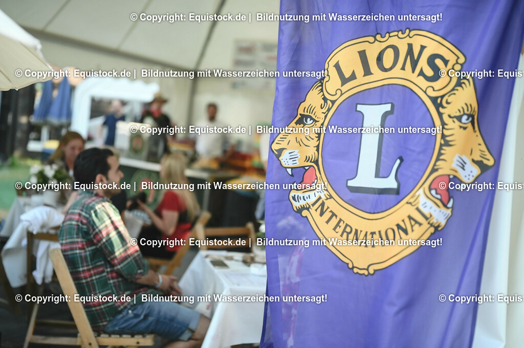 D78_3805 | equistock