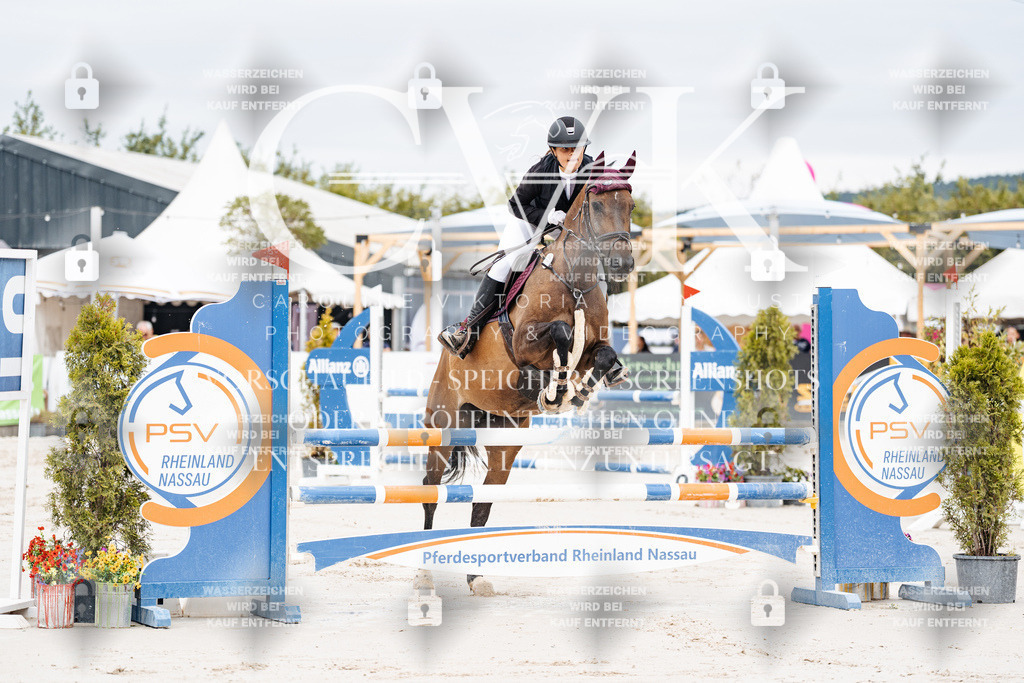 CK906175 | Turnierfotografie Pferdefotografie Trier Rheinland-Pfalz Pferdesport Reitsport Tierfotografie Sportfotografie Pferdevideo Pferdevideografie Equestrianvideography equestrianphotography  - Realisiert mit Pictrs.com