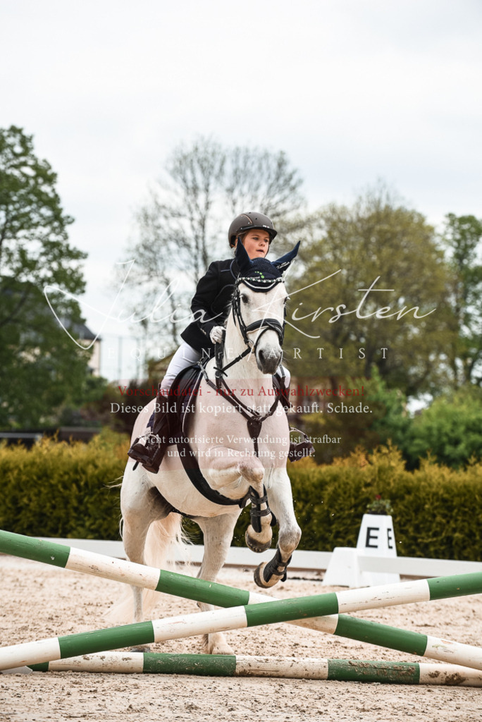20230518_JK-Röhrsdorf-10-498 | Pferde- und Turnierfotografie in Westsachsen. Pferdeportraits, Auftragszeichnungen und intuitive Kunst.