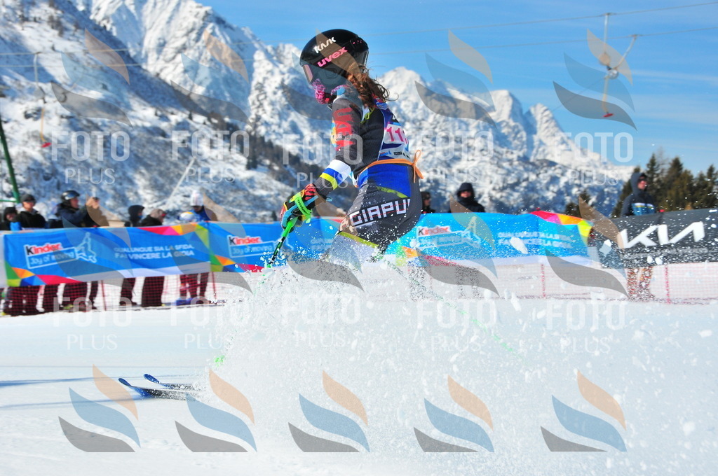 DSC_4700 | holidayphoto