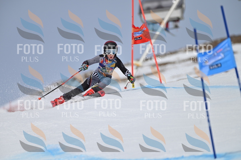 BGV_4632 | holidayphoto