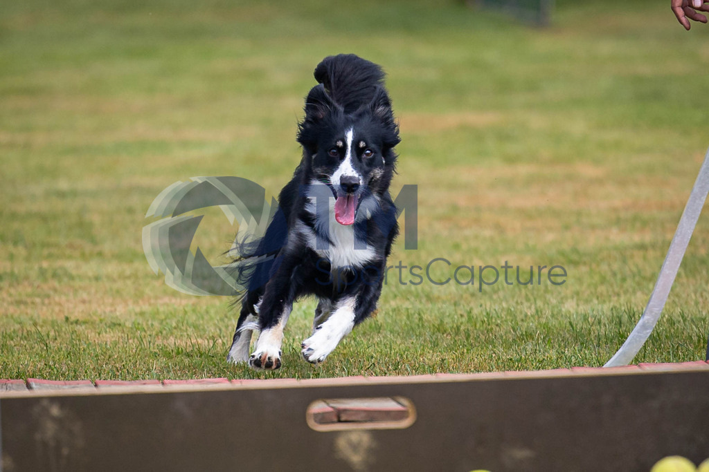 TP-20240815-0099 | Copyright: Trainproduction / Matthias Trinkl