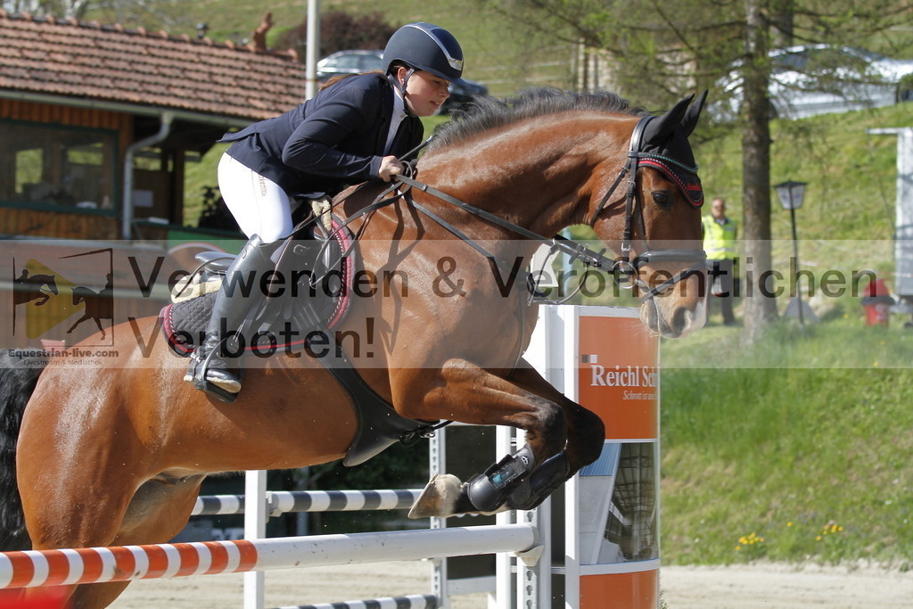 _MG_9182 | equestrian-live-com