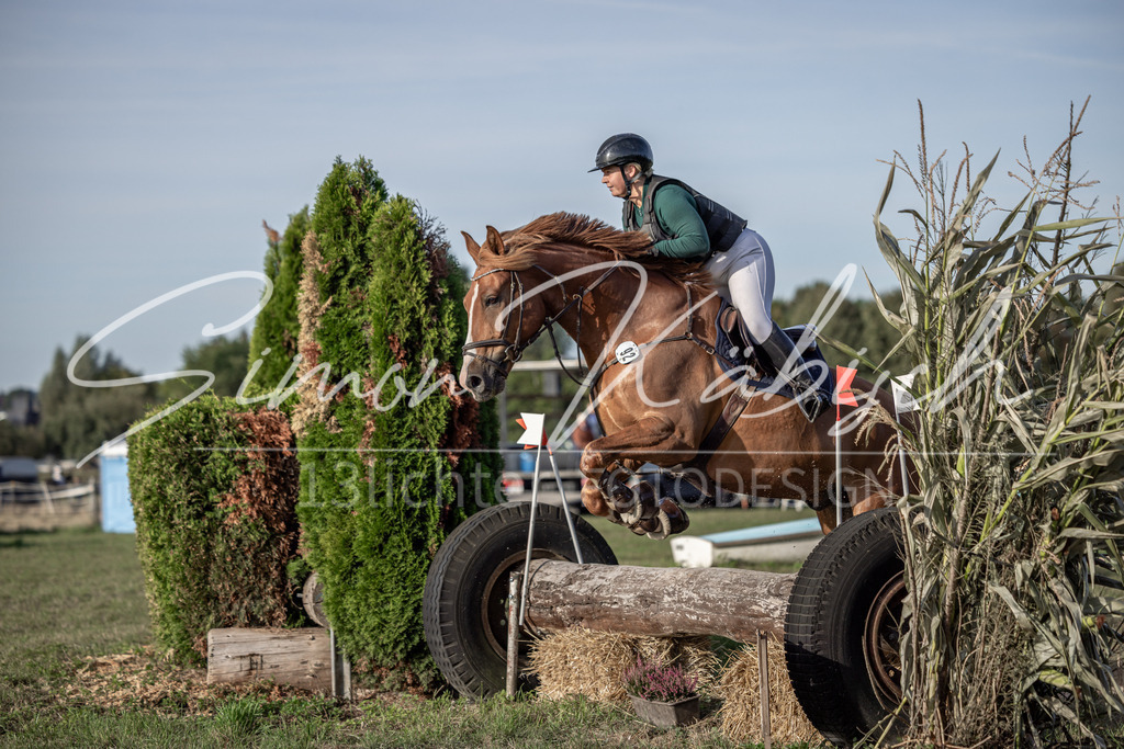 20250907-_3LI8555 | Tierfotografie Pferde, Hunde, Katzen, Haustiere.
Turnierfotografie Reitturniere, Reiten, Springreiten, Dressur in Hanau, dem Main-Kinzig-Kreis und dem Rhein-Main- Gebiet um Frankfurt