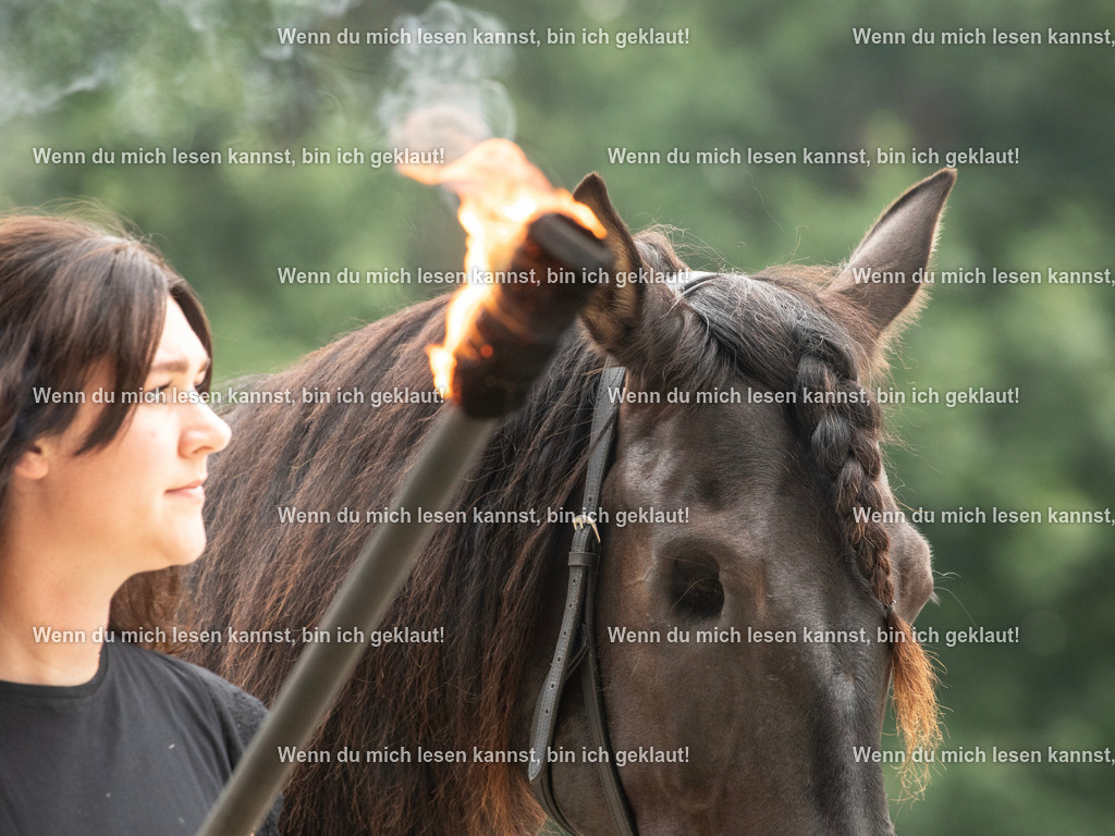 598A7324 | photographylinaismer - Realisiert mit Pictrs.com