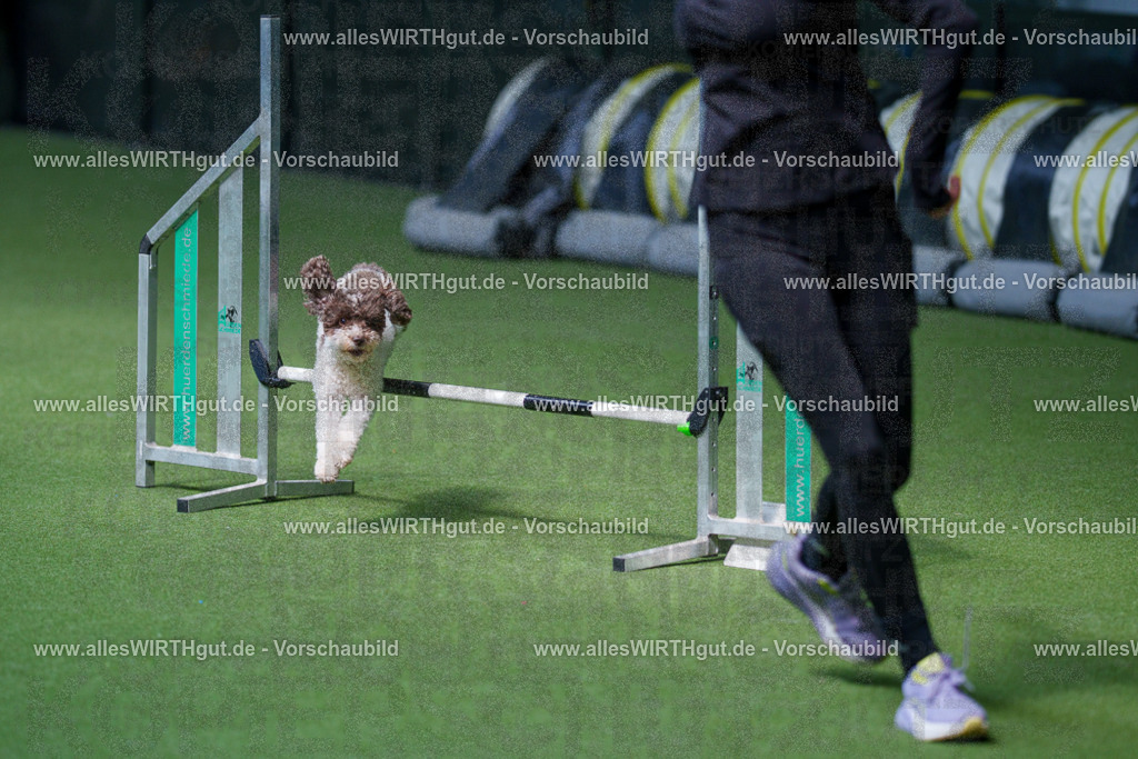 @allesWIRTHgut_Tierfotografie - www.allesWIRTHgut.de - 2604261331-7R502070 | Professionelle Tierfotografie in Mönchengladbach von Daniel Wirth (allesWIRTHgut). Liebevolle & natürliche Bilder von Hunden & Katzen für unvergessliche Erinnerungen.