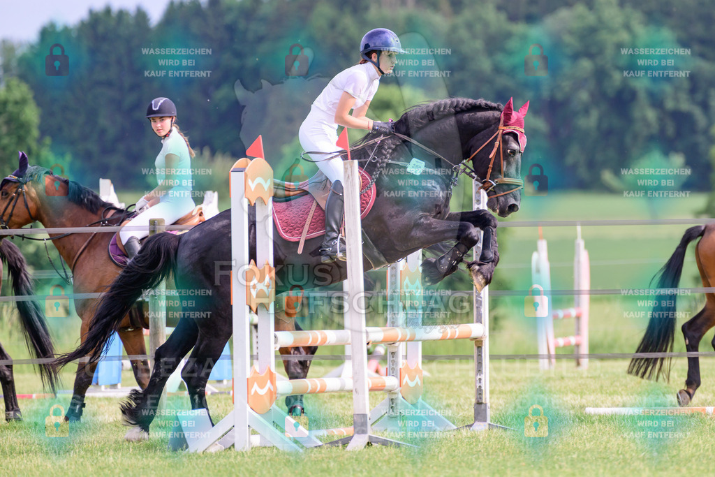 30052026-Forstinning-Prfg20-0418 | Fokus Hufschlag Fotografie - Realisiert mit Pictrs.com