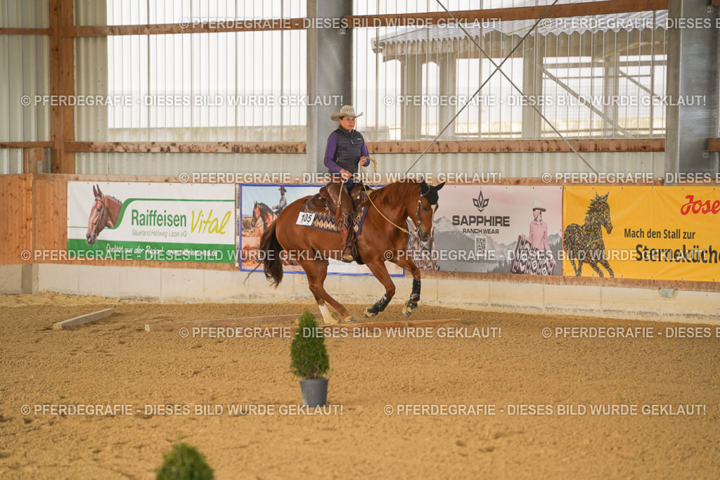 DSC01199 | Pferdegrafie