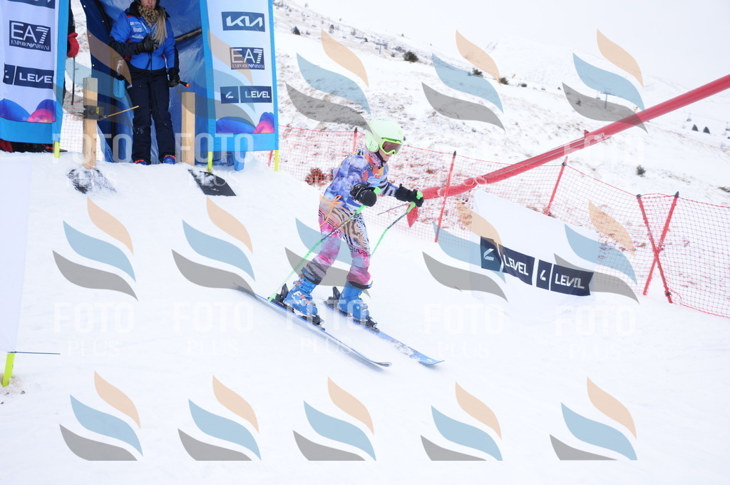 DSC_8362 | holidayphoto