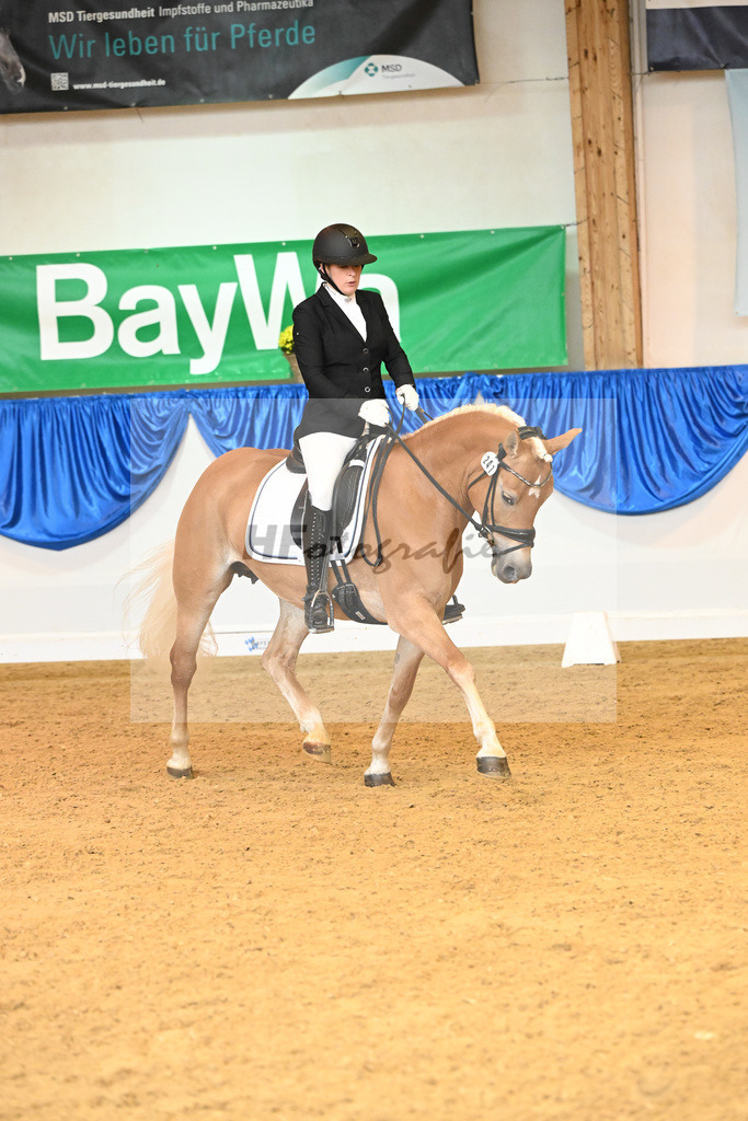 Kat-Nr. 247 Belle Fleur_Stange_54222036 | hf-fotografie - Realisiert mit Pictrs.com