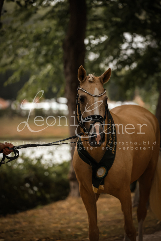 10.-12.Elite00166 | Leoni Ertmer Photography - Realisiert mit Pictrs.com