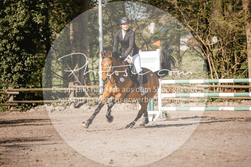 3I6A3591 | Stimmungsvolle Portraits und Reitsportfotografie im Ruhrgebiet und im Münsterland.

Pferdefotografie, Hundefotografie, Tierfotografie, Reportagen, Portraits von Tier und Mensch, Turnierfotografie in Bochum, Recklinghausen, Marl, Haltern am See, Dülmen.. - Realisiert mit Pictrs.com