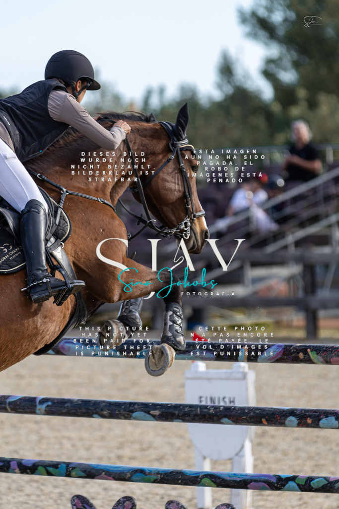 IMG_0442 | s-jay-photography - Realisiert mit Pictrs.com