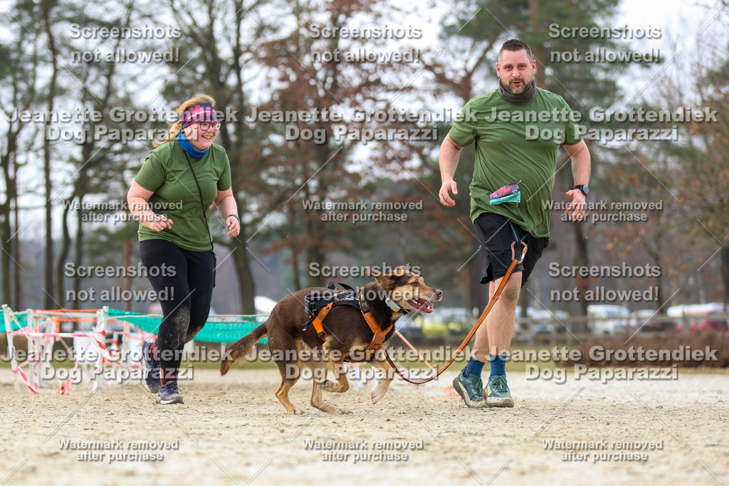 Dog Paparazzi - Strongdog North Mrz26-4632 | Dog Paparazzi Jeanette Grottendiek Fotografie & Videografie - Realisiert mit Pictrs.com