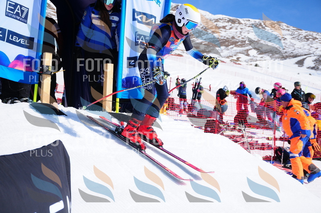 DSC_3612 | holidayphoto