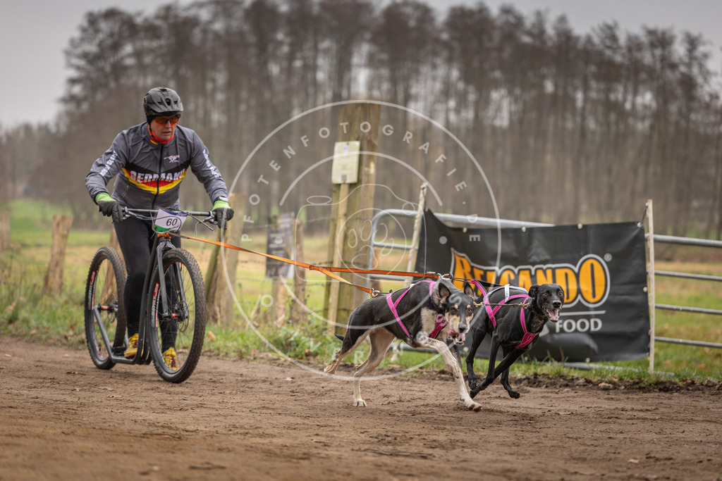 Pfotenfotografie_DV3A3241 | Hundefotografie, Tierfotograf, Pfotenfotografie, Fotoshooting Hund, Hunde Portrait, Hundesport, Hundeportraits, Heideshooting, Hunde, Sportfotograf, Hundefotograf, Turnierhundsport, THS,  - Realisiert mit Pictrs.com