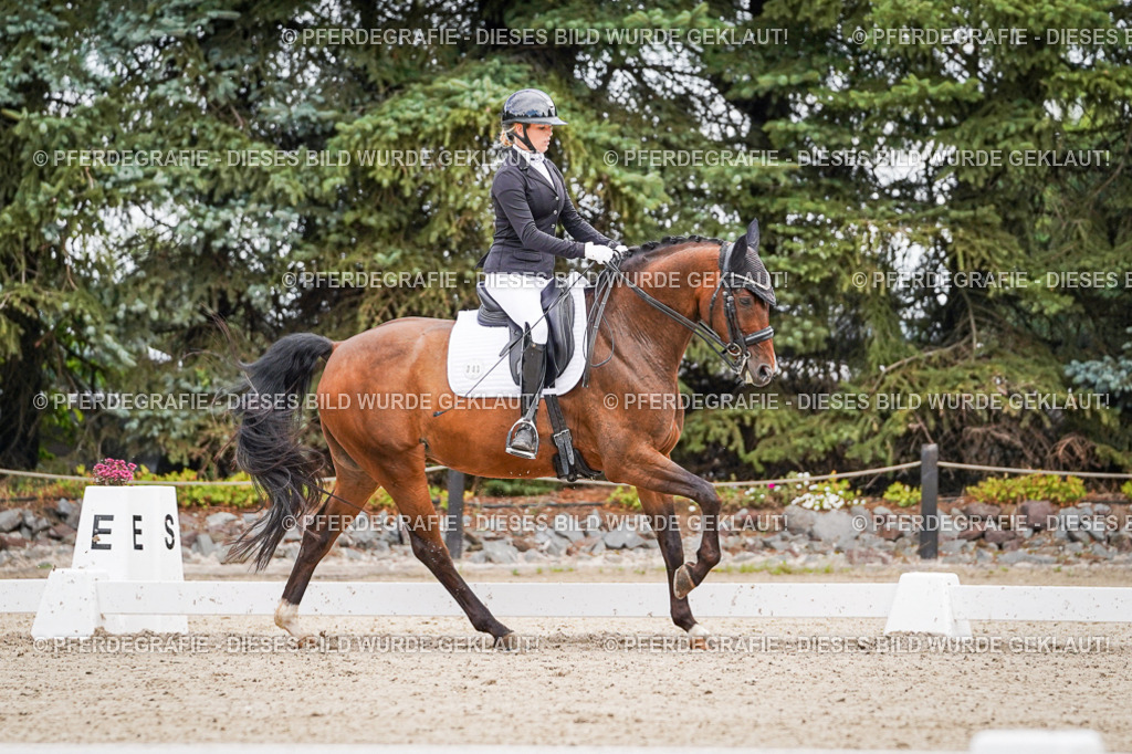 DSC02660 | Pferdegrafie