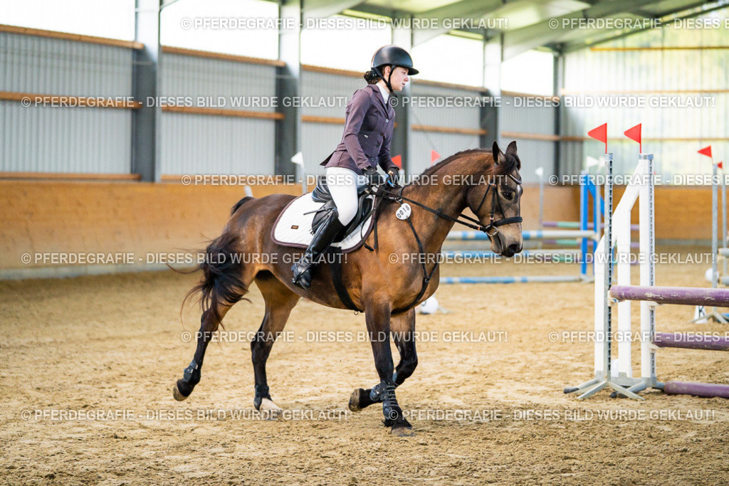 DSC00571 | Pferdegrafie