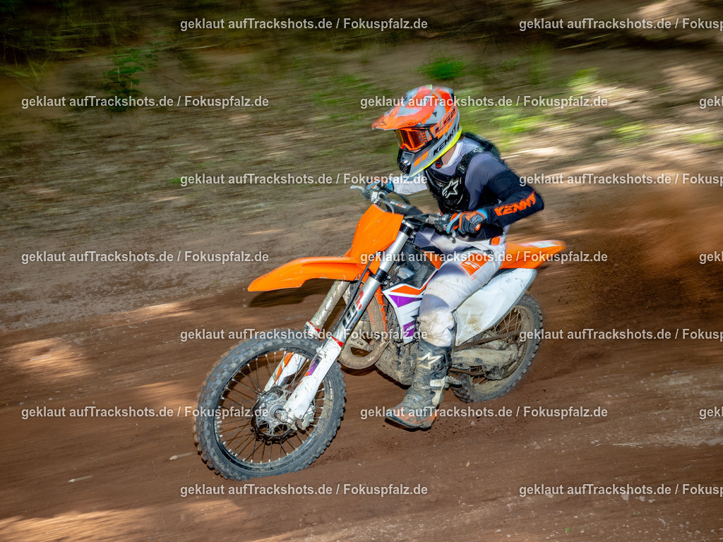 Fischbach-69 | Trackshots.de / Fokuspfalz.de - Realisiert mit Pictrs.com