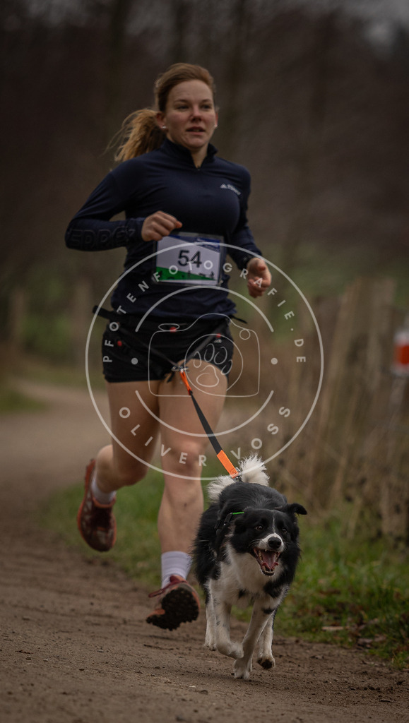 Pfotenfotografie_DV3A2982 | Hundefotografie, Tierfotograf, Pfotenfotografie, Fotoshooting Hund, Hunde Portrait, Hundesport, Hundeportraits, Heideshooting, Hunde, Sportfotograf, Hundefotograf, Turnierhundsport, THS,  - Realisiert mit Pictrs.com