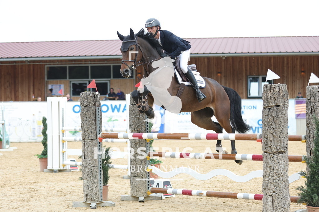 0P6A6331 | Willkommen bei Brunnmayr - Design & Fotografie – Ihrem Spezialisten für Reitturniere und Pferdeveranstaltungen in Oberösterreich, Salzburg und Bayern! Seit über 17 Jahren sind wir leidenschaftlich dabei.