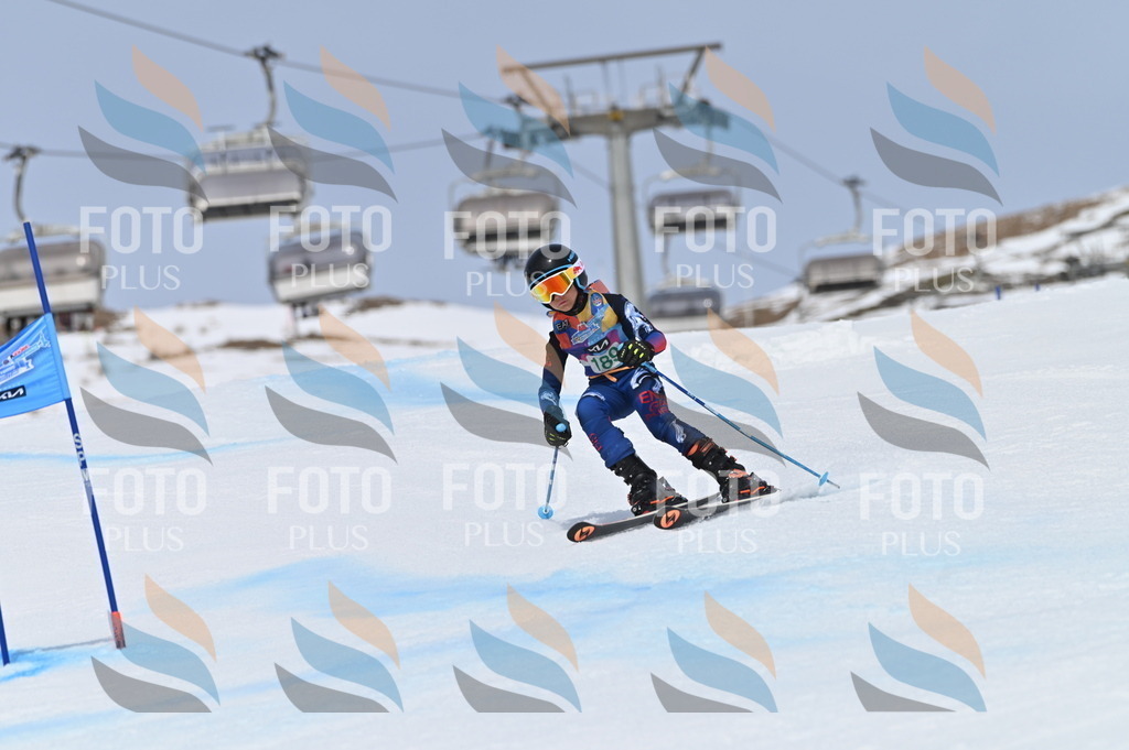 BGV_3666 | holidayphoto