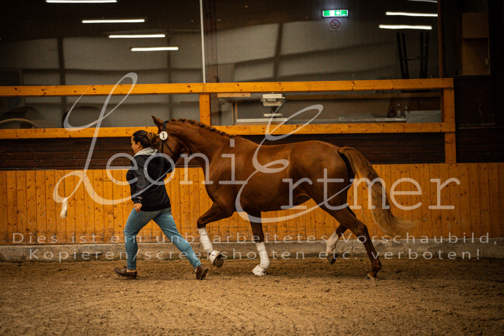 1FS_L00044 | Leoni Ertmer Photography - Realisiert mit Pictrs.com