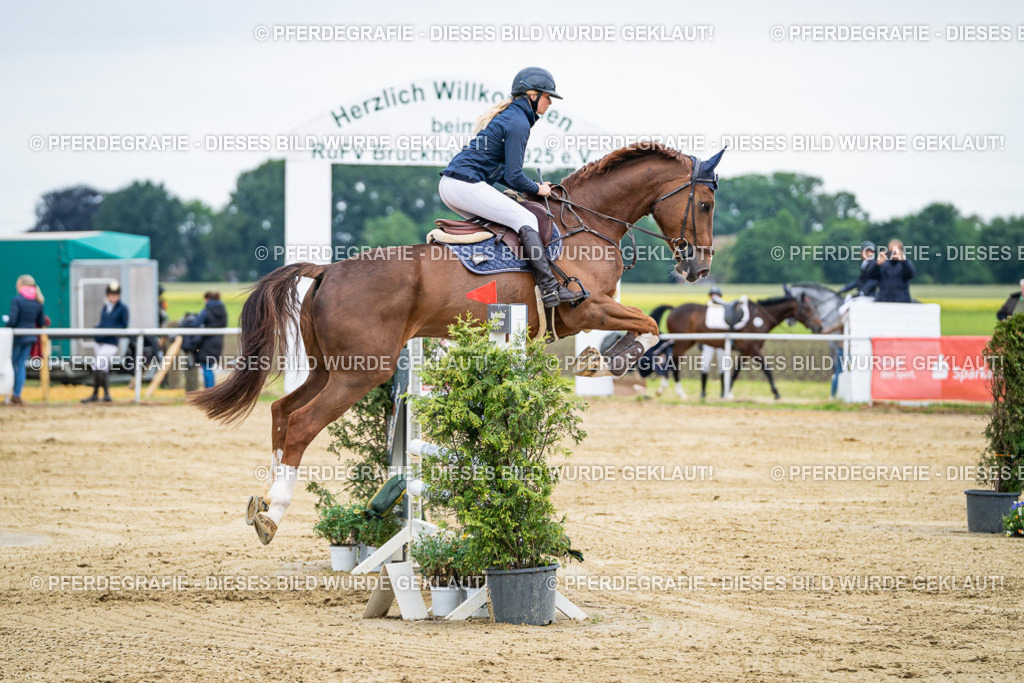 DSC05984 | Pferdegrafie