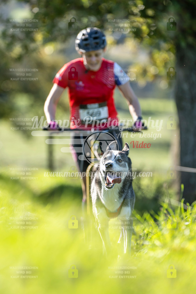 MompixPhotography_20TSB_E3_DS1-41 | PayLife