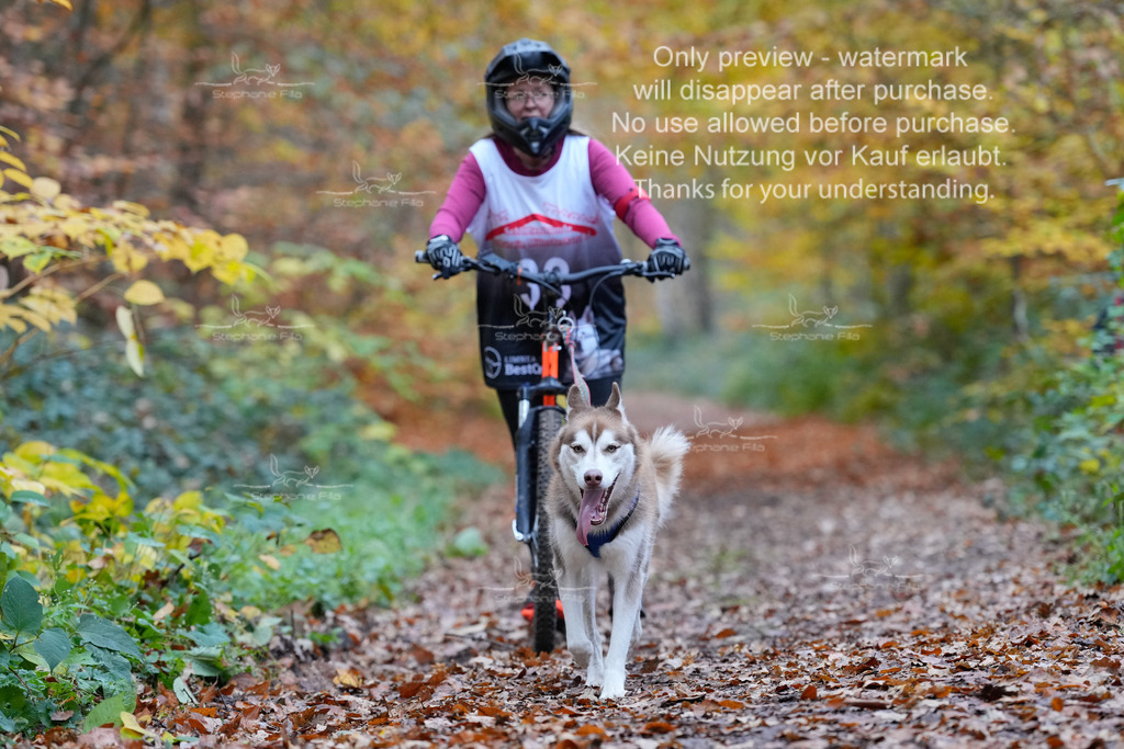 Scooter_So-105 | stephaniefillaphotographie - Realisiert mit Pictrs.com