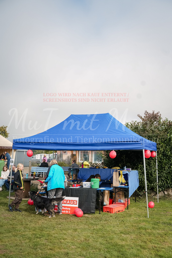 20250928_Hunderennen-359 | MuT (Mensch und Tier) mit Mona - Fotografie und Tierkommunikation - Realisiert mit Pictrs.com
