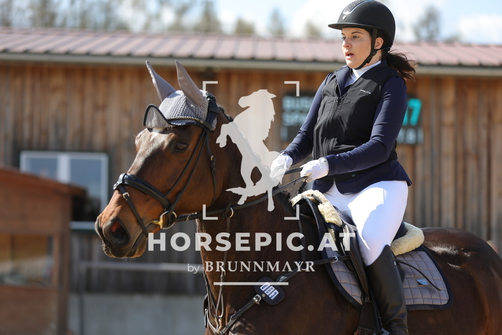 0P6A6869 | Willkommen bei Brunnmayr - Design & Fotografie – Ihrem Spezialisten für Reitturniere und Pferdeveranstaltungen in Oberösterreich, Salzburg und Bayern! Seit über 17 Jahren sind wir leidenschaftlich dabei.