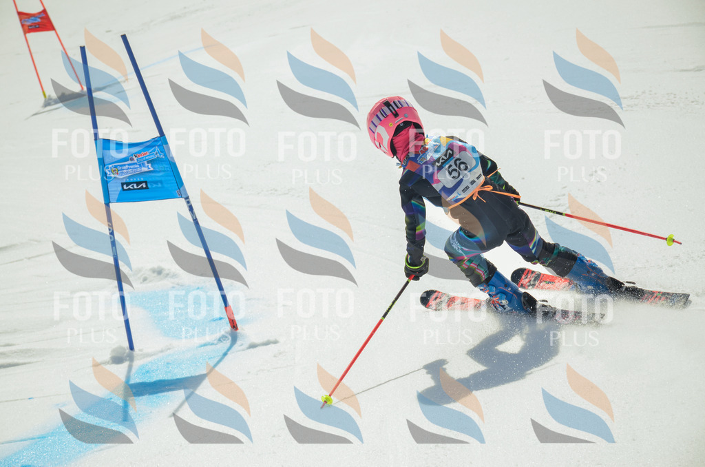 _ELE5265 | holidayphoto