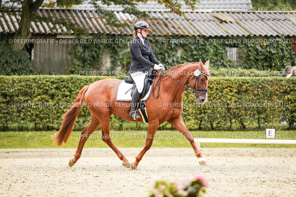 DSC08225 | Pferdegrafie