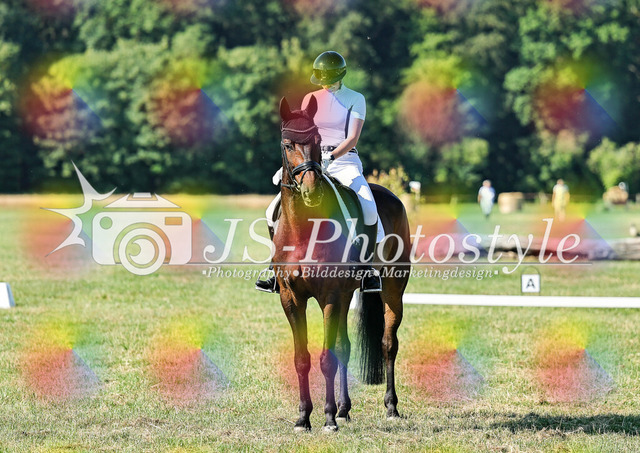 20260628_14a_VA_Dressur-101 | JS-Photostyle - Sport-/Portrait- & Eventfotografie