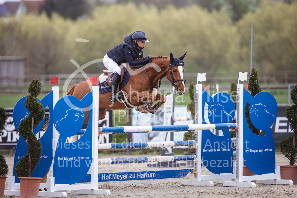 250417_Springpferde-L1-236 | Deine schönsten Turniermomente als professionelle Fotos! Entdecke hochwertige Pferdesport-Fotografie im Online-Shop. Jetzt Fotos finden & bestellen!