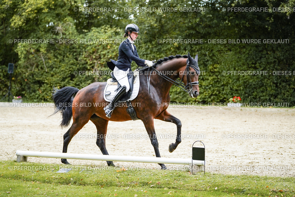 DSC02035 | Pferdegrafie