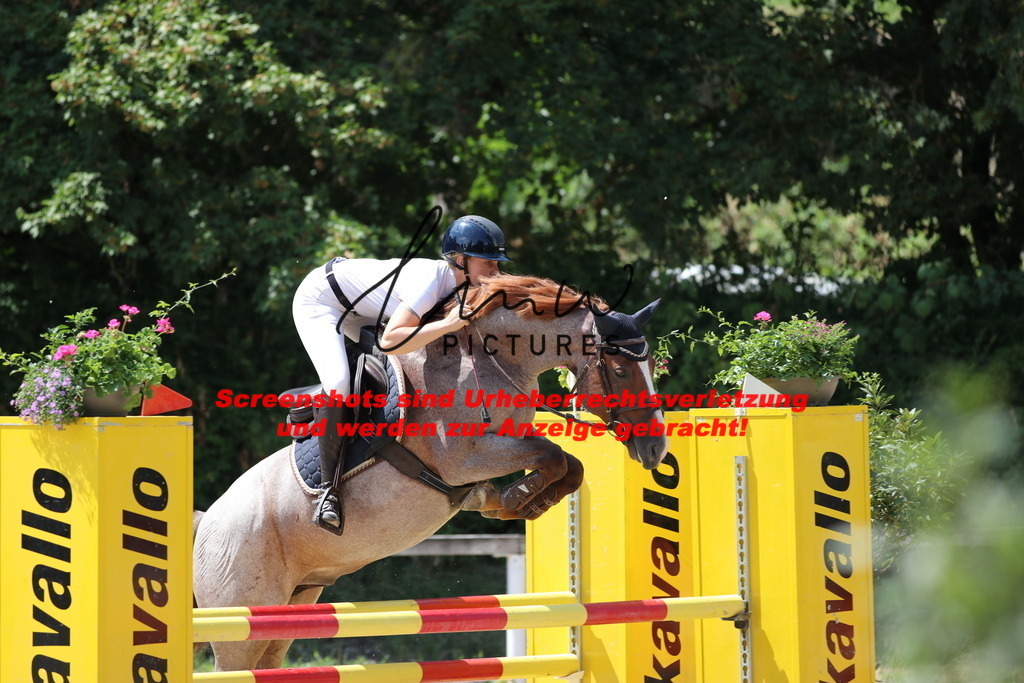 IMG_0100 | lmwpictures - Realisiert mit Pictrs.com