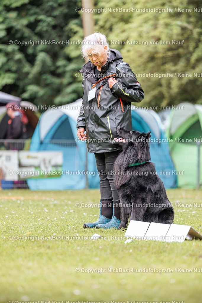 RO-Blumenthal-2026-Nickbest-Hundefotografie-1264 | Dein Hund! Dein Moment! Deine Erinnerungen! Hundefotografie in Bremen Blumenthal. Ich fange die besonderen Momente deines Vierbeiners ein – ob Indoor mit Blitzanlage oder in der freien Natur. Sicher dir dein Moment und dein Termin für eure Erinnerungen.